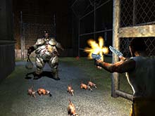 The Suffering The Suffering