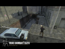 True Combat: Elite True Combat: Elite