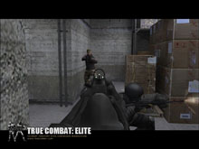 True Combat: Elite True Combat: Elite