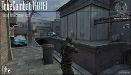 True Combat: Elite